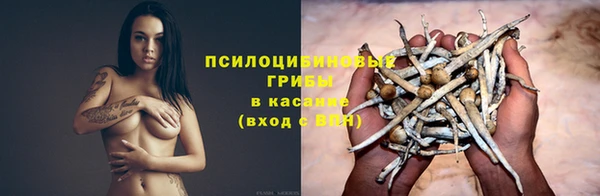 мдма Каменногорск