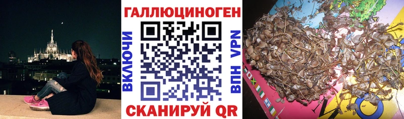 OMG ссылка  Саки  Псилоцибиновые грибы GOLDEN TEACHER 